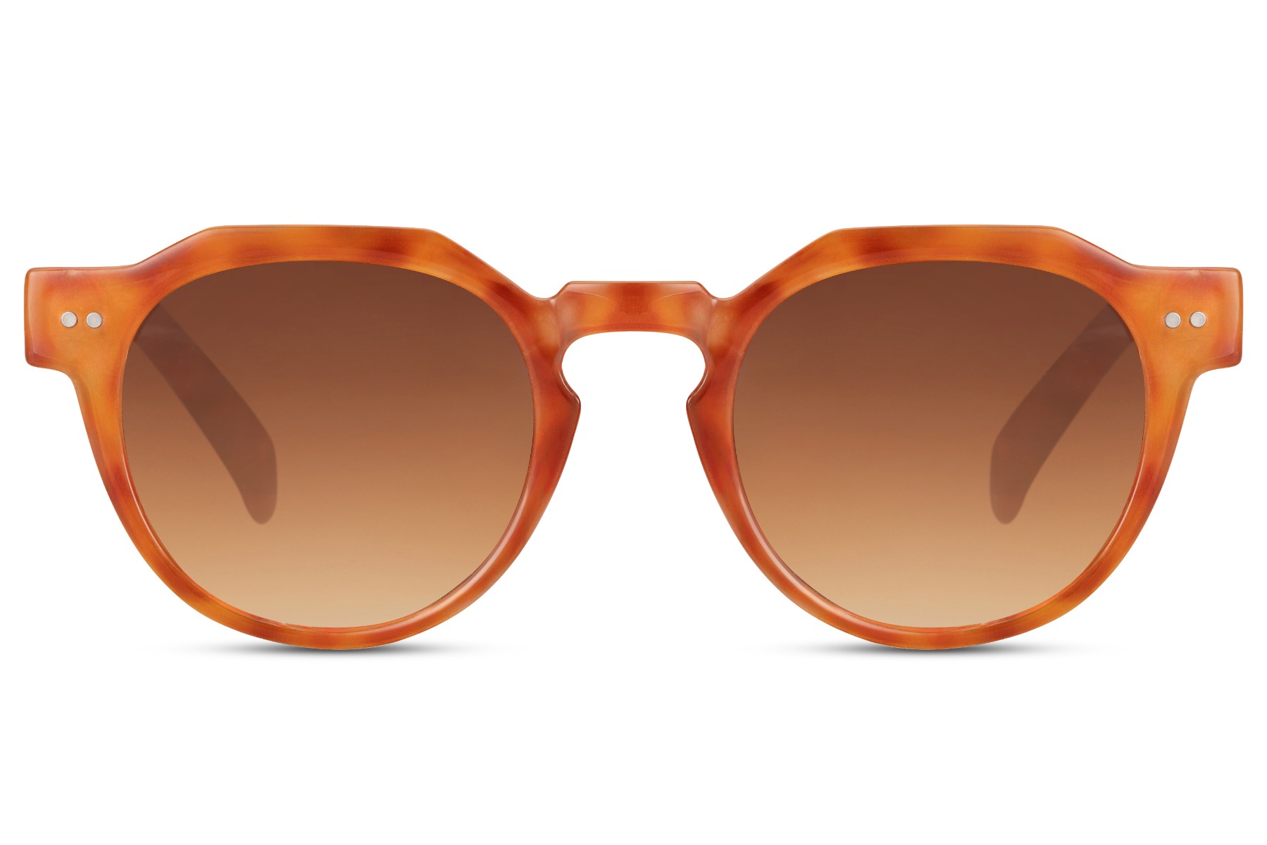 Koi Karper main product photo